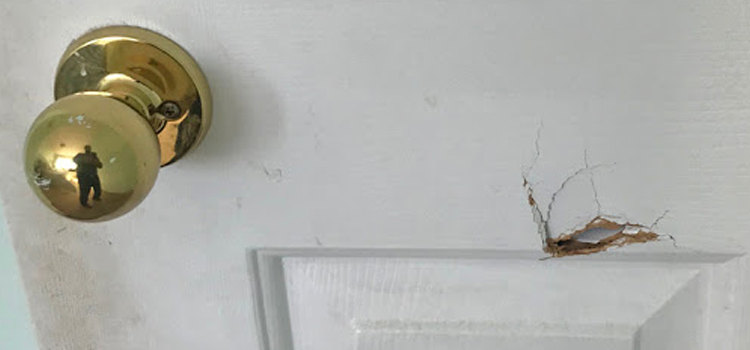 interior door hole repair West Athens